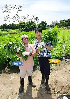 声浪突围 音乐综艺免费观看